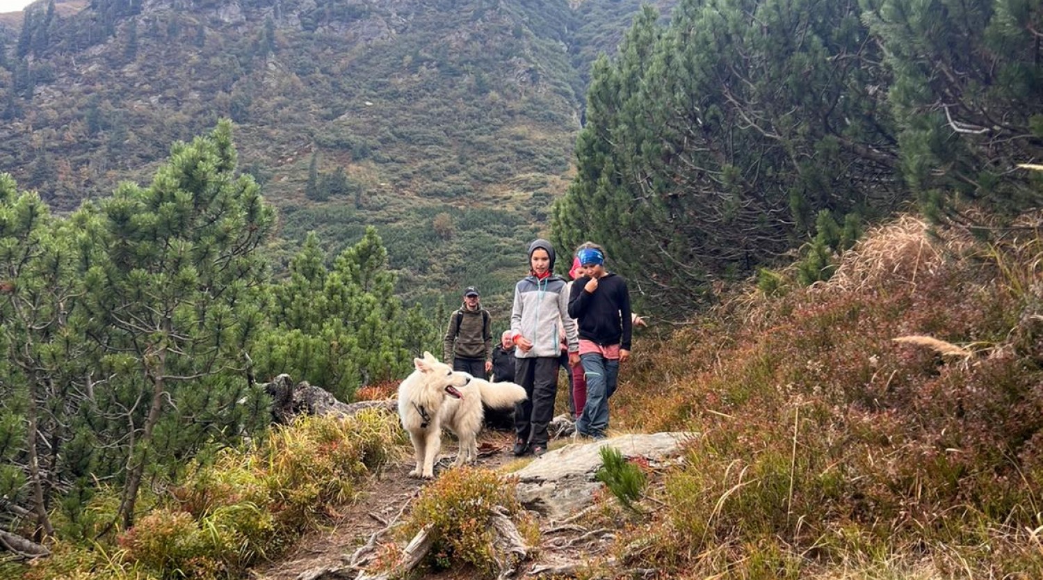 Drumeție pentru Educație Montană- Supraviețuirea în pădure, orientare.