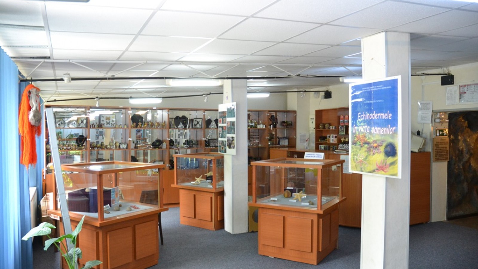 Muzeul Rezervatiei Bucegi